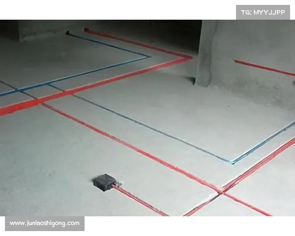 探索狮鹫训练的奥秘与技巧揭示飞行与驯养背后的秘密世界