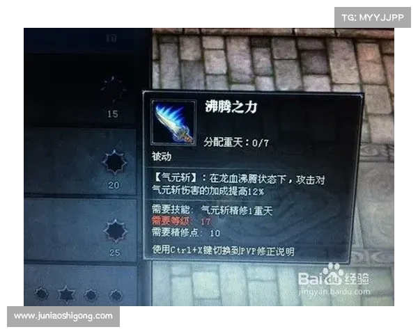 斗战神龙女刺客技能搭配与装备选择指南全面解析