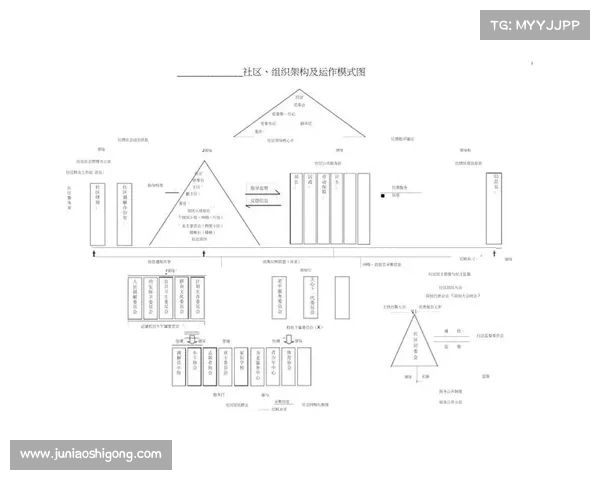 如何从多个维度分析斯坦福桥的组织结构与运作模式
